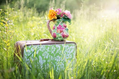 Copyright: Jill wellington / Pixabay