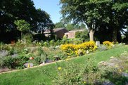 Beete mit Sommerblumen auf dem Friedhof