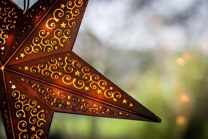 Weihnachtsstern - Copyright: Harals Braun / Pixabay